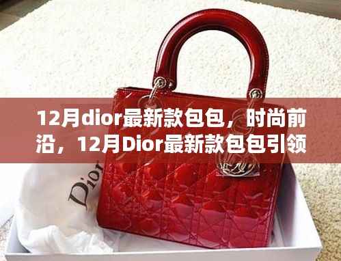 12月Dior最新款包包，时尚前沿，引领潮流新风尚