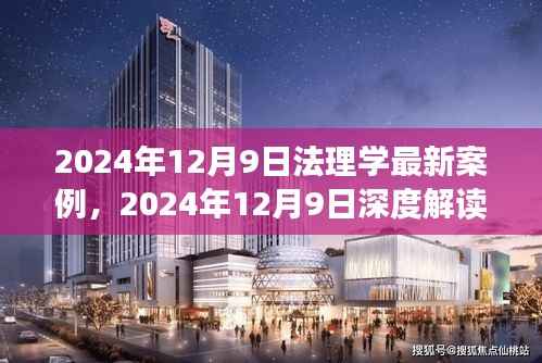 深度解读，法理学最新案例的挑战与革新（2024年12月9日最新分析）