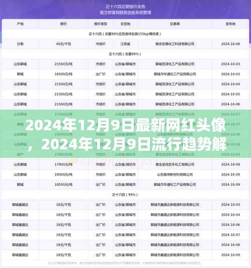 揭秘最新网红头像与流行趋势，2024年12月9日解析大放送