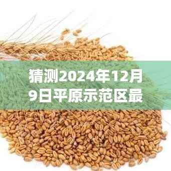 揭秘未来平原示范区发展蓝图，2204年最新消息前瞻与展望——平原示范区发展迈入新篇章（最新消息前瞻）