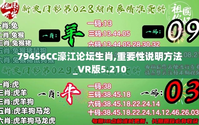 79456CC濠江论坛生肖,重要性说明方法_VR版5.210