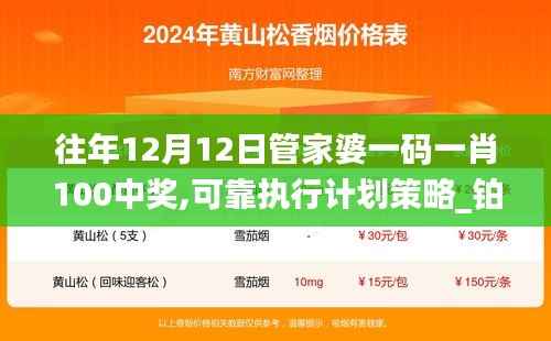 往年12月12日管家婆一码一肖100中奖,可靠执行计划策略_铂金版5.849