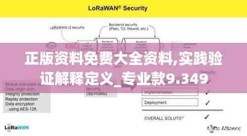 正版资料免费大全资料,实践验证解释定义_专业款9.349