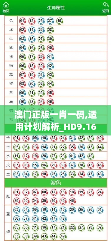 澳门正版一肖一码,适用计划解析_HD9.161