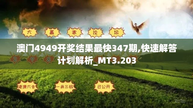 澳门4949开奖结果最快347期,快速解答计划解析_MT3.203