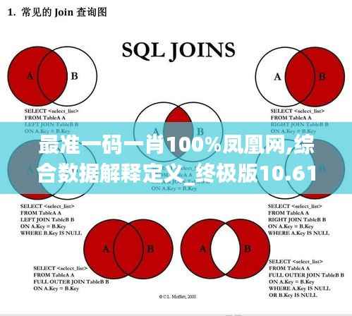 最准一码一肖100%凤凰网,综合数据解释定义_终极版10.619