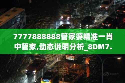 7777888888管家婆精准一肖中管家,动态说明分析_8DM7.404