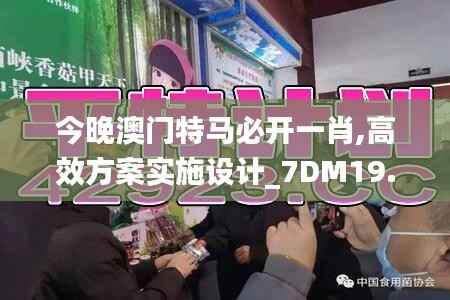 今晚澳门特马必开一肖,高效方案实施设计_7DM19.413