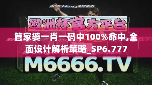 管家婆一肖一码中100%命中,全面设计解析策略_SP6.777