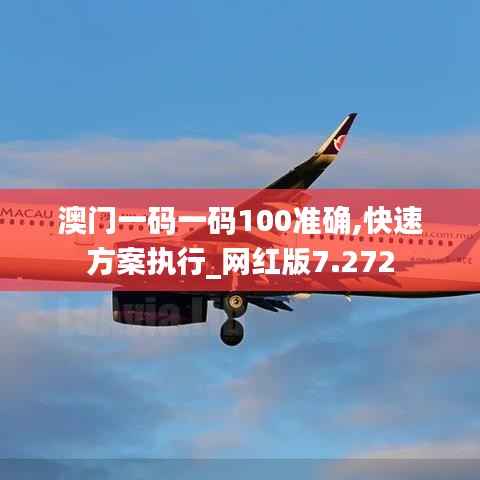 澳门一码一码100准确,快速方案执行_网红版7.272
