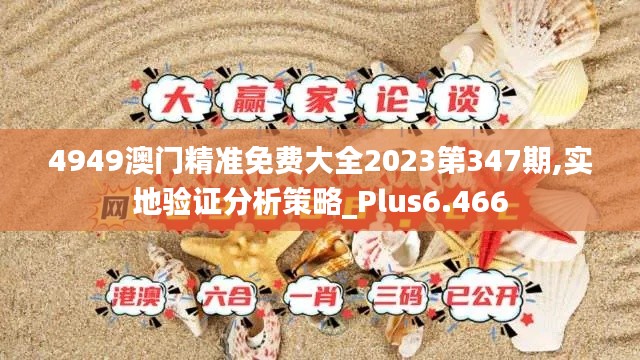 4949澳门精准免费大全2023第347期,实地验证分析策略_Plus6.466