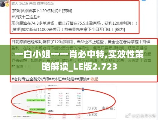 一白小姐一一肖必中特,实效性策略解读_LE版2.723