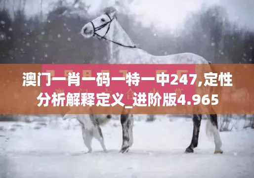 澳门一肖一码一特一中247,定性分析解释定义_进阶版4.965