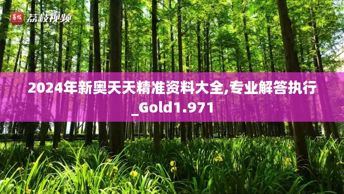2024年新奥天天精准资料大全,专业解答执行_Gold1.971