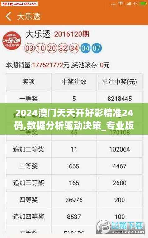 2024澳门天天开好彩精准24码,数据分析驱动决策_专业版1.139