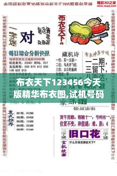 布衣天下123456今天版精华布衣图,试机号码,调整计划执行细节_入门版8.198