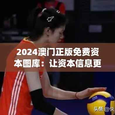 2024澳门正版免费资本图库：让资本信息更加透明化