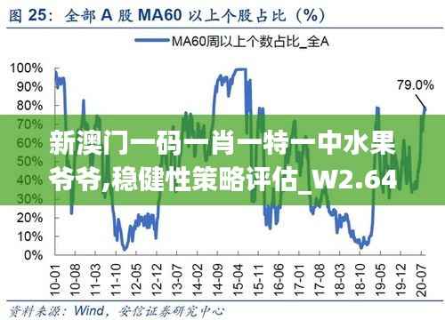 新澳门一码一肖一特一中水果爷爷,稳健性策略评估_W2.645