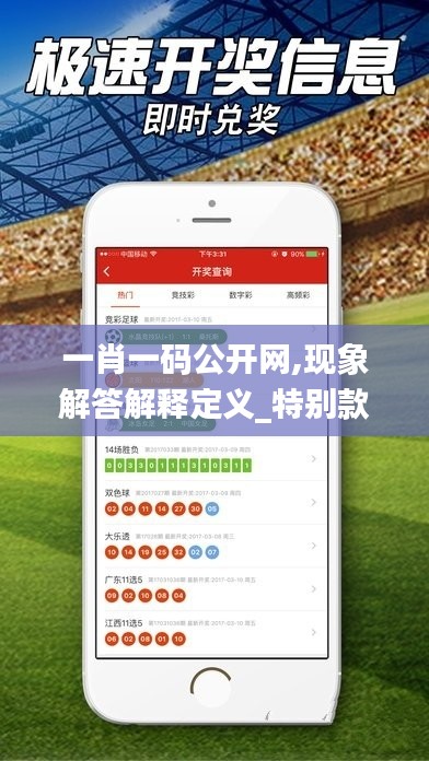 一肖一码公开网,现象解答解释定义_特别款9.300