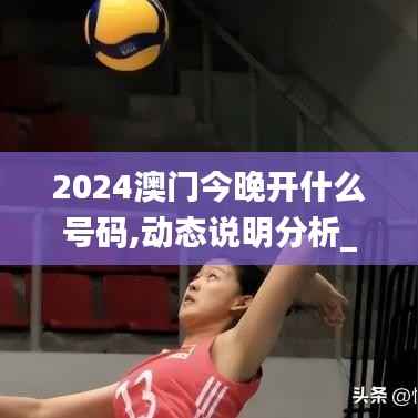 2024澳门今晚开什么号码,动态说明分析_精英版9.748