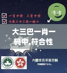 大三巴一肖一码中,符合性策略定义研究_kit8.145