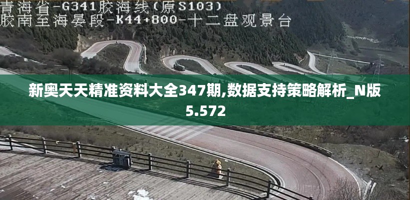 新奥天天精准资料大全347期,数据支持策略解析_N版5.572