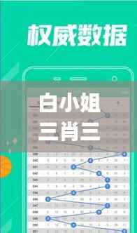 白小姐三肖三期必出一期开奖2024,定性解答解释定义_进阶款1.432