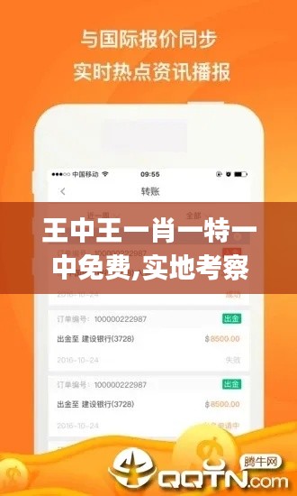 王中王一肖一特一中免费,实地考察数据分析_app1.449