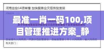 最准一肖一码100,项目管理推进方案_静态版2.202