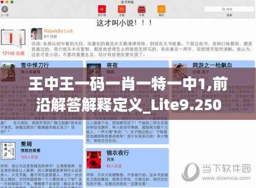 王中王一码一肖一特一中1,前沿解答解释定义_Lite9.250