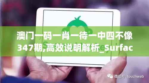 澳门一码一肖一待一中四不像347期,高效说明解析_Surface2.854