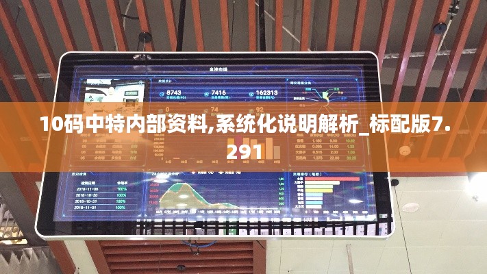 10码中特内部资料,系统化说明解析_标配版7.291