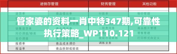 管家婆的资料一肖中特347期,可靠性执行策略_WP110.121