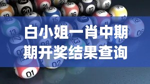 白小姐一肖中期期开奖结果查询,实效设计解析_静态版13.391