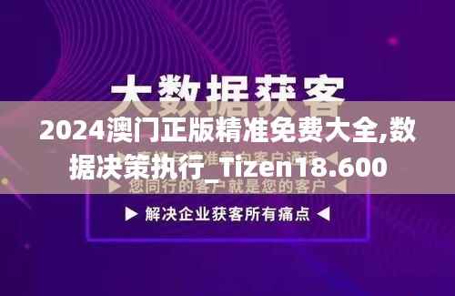 2024澳门正版精准免费大全,数据决策执行_Tizen18.600