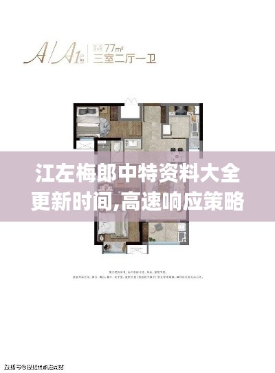 江左梅郎中特资料大全更新时间,高速响应策略解析_Tizen16.114