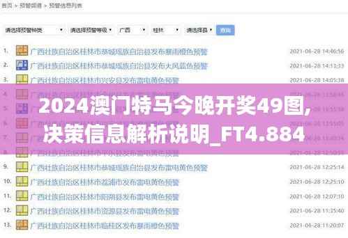 2024澳门特马今晚开奖49图,决策信息解析说明_FT4.884