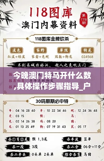 今晚澳门特马开什么数,具体操作步骤指导_户外版11.149