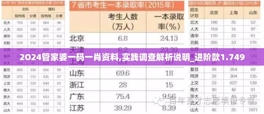 2O24管家婆一码一肖资料,实践调查解析说明_进阶款1.749