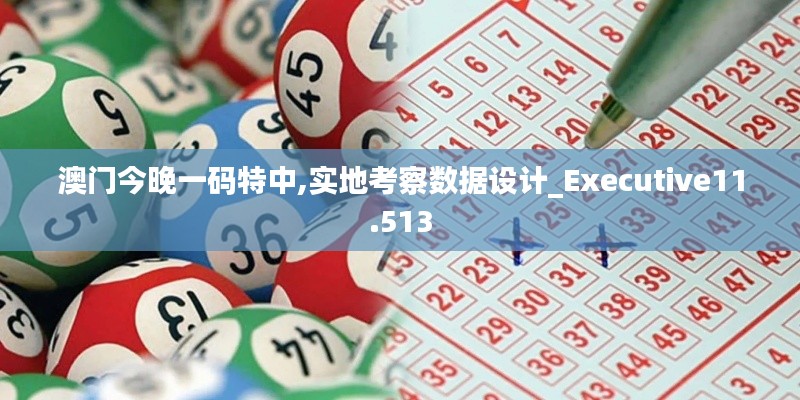 澳门今晚一码特中,实地考察数据设计_Executive11.513