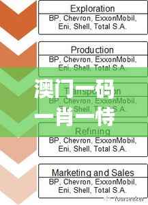 澳门一码一肖一恃一中312期,科学数据解释定义_终极版4.388