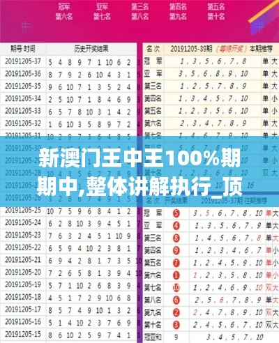 新澳门王中王100%期期中,整体讲解执行_顶级款7.225