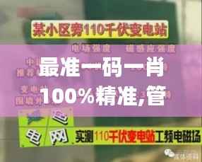 最准一码一肖100%精准,管家婆大小中特,数据支持执行策略_黄金版8.794