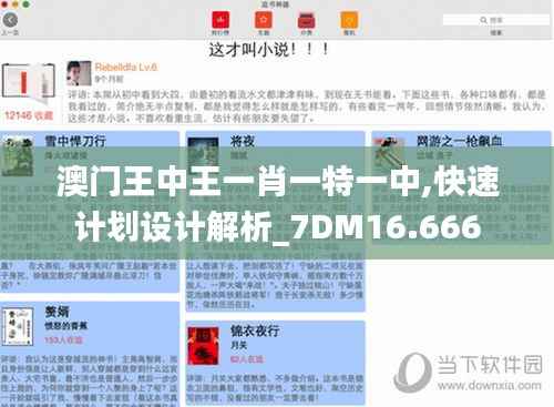 澳门王中王一肖一特一中,快速计划设计解析_7DM16.666