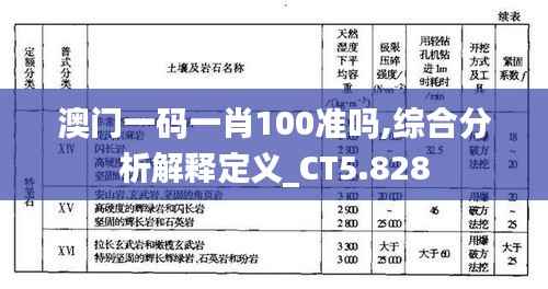 澳门一码一肖100准吗,综合分析解释定义_CT5.828