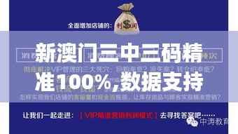 新澳门三中三码精准100%,数据支持方案设计_NE版9.331