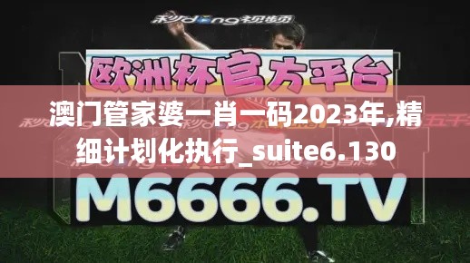 澳门管家婆一肖一码2023年,精细计划化执行_suite6.130