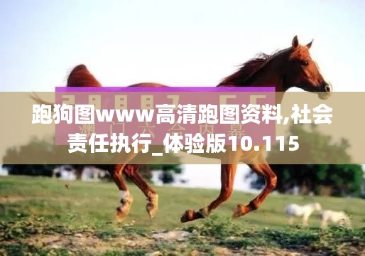 跑狗图www高清跑图资料,社会责任执行_体验版10.115