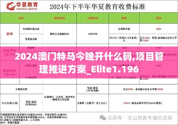 2024澳门特马今晚开什么码,项目管理推进方案_Elite1.196