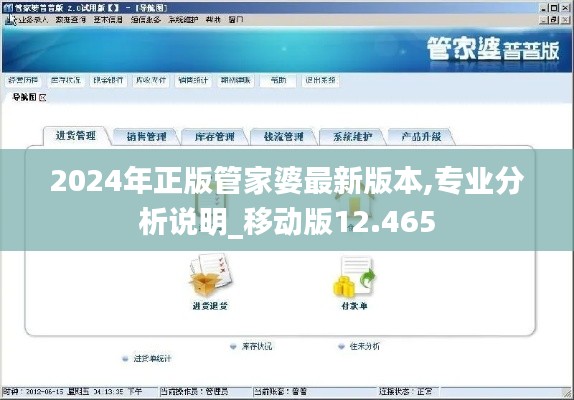 2024年正版管家婆最新版本,专业分析说明_移动版12.465
